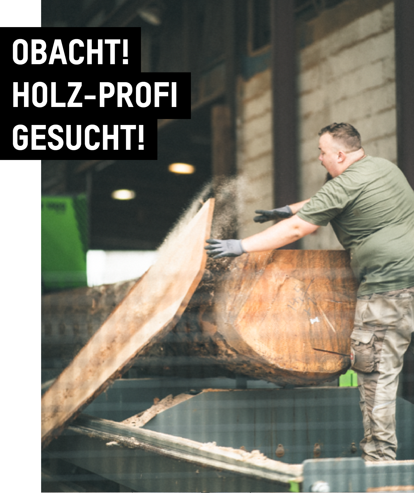 Werbeanzeige Holzbearbeitungsmechaniker gesucht