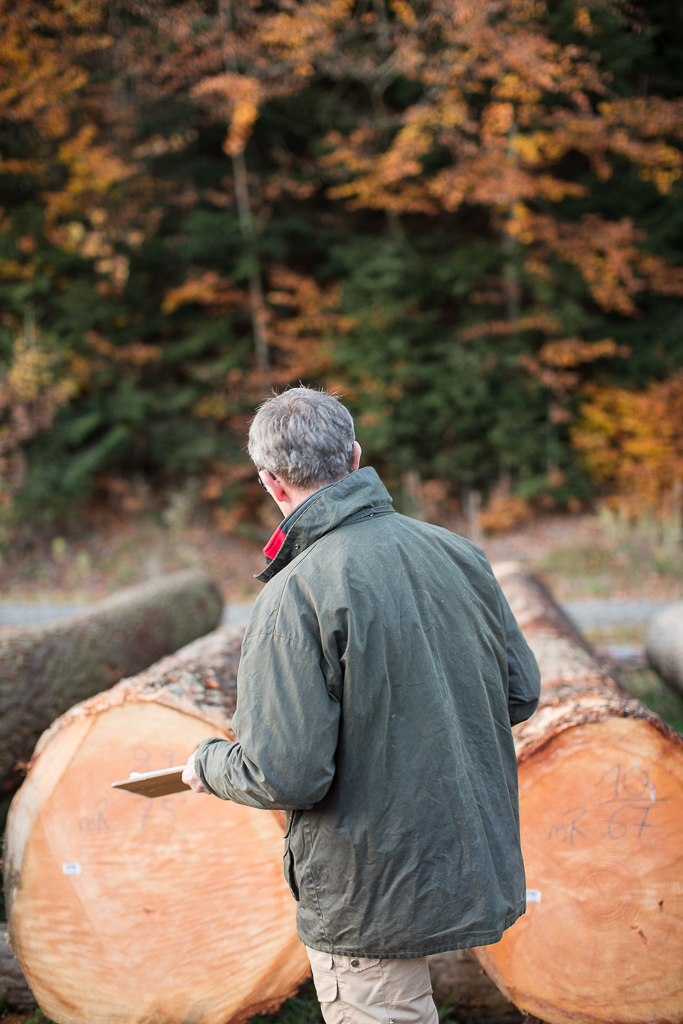 Besichtigung von Douglasienstämme im Wald.